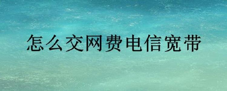 交网费