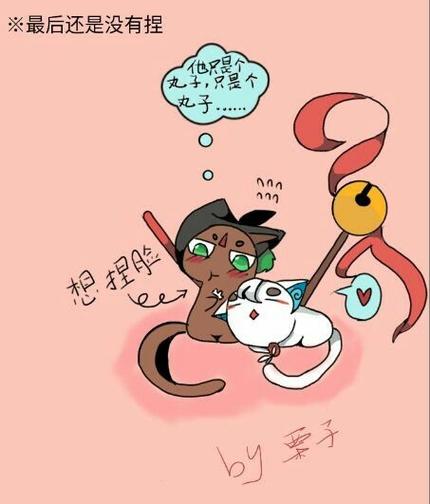 沫白图片