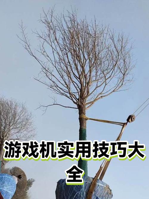 玩机技巧有一个提示截图
