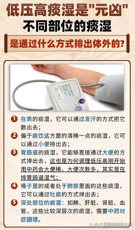 痰湿型高血压特点