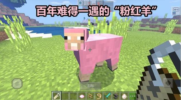 我的世界粉色染料怎么获得