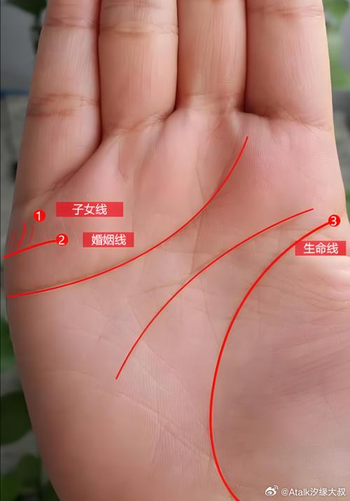 如何看手相