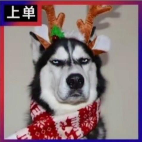 王者荣耀位置头像