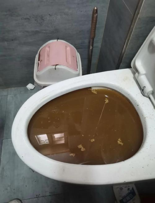 马桶堵住了