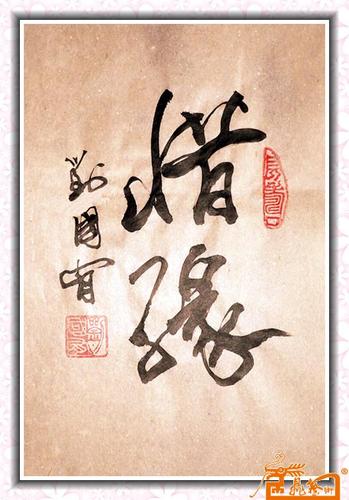 惜缘会有什么含义呢截图
