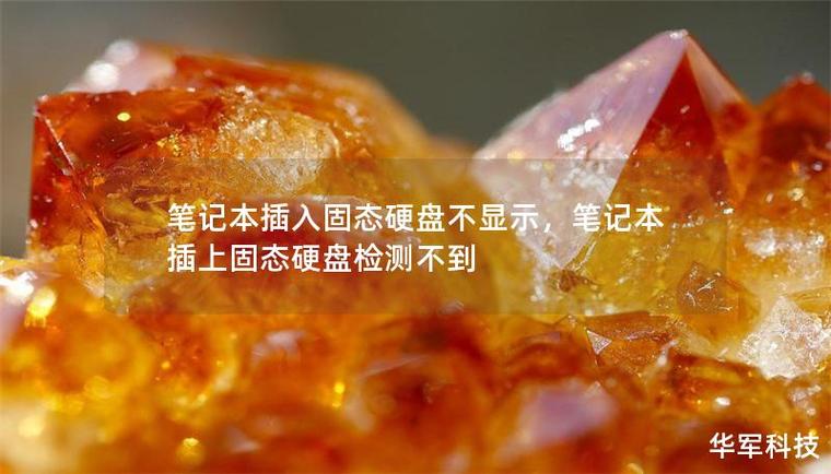 插上固态硬盘检测不到