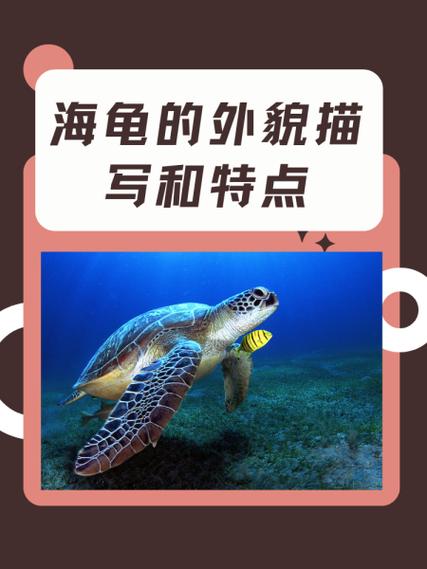 海草是凉性还是热性