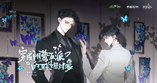 穿成男主的联姻对象免费截图