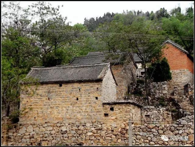 山中老伯全文下载截图