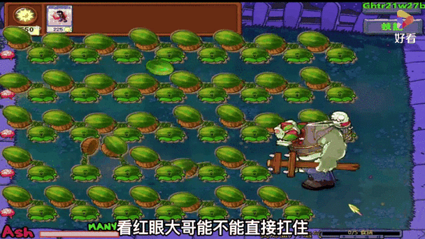 植物大战僵尸王八八版本截图