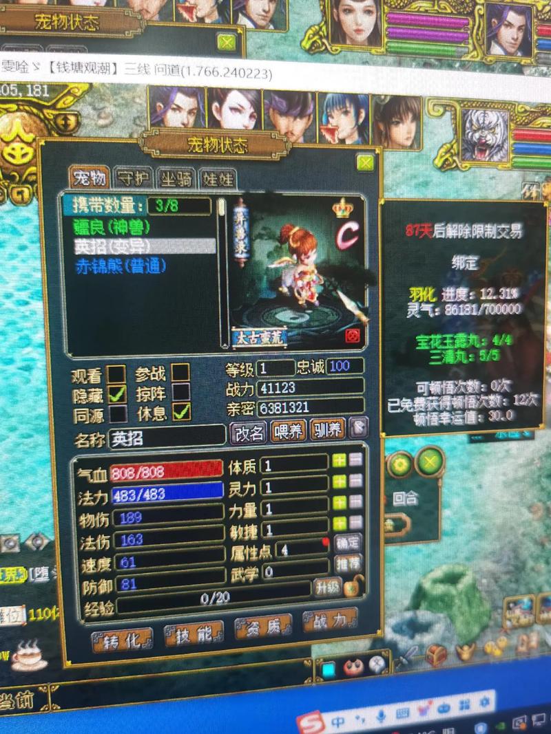 问道交易宠物怎么保留亲密