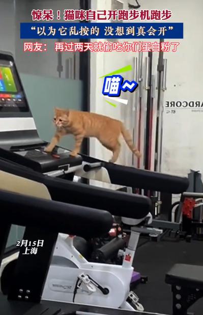 跑步机走起来咯吱咯吱响图标