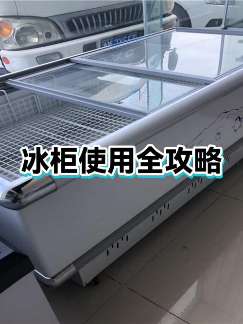 现在冷柜哪种内胆好游戏截图