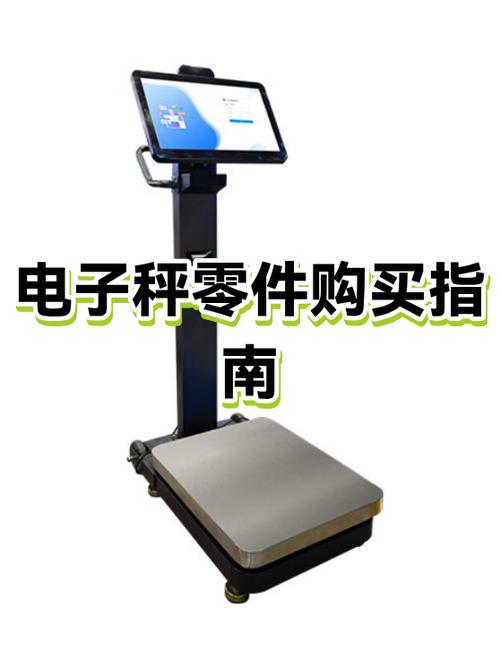 买电子秤要注意什么