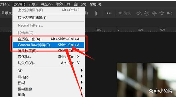 怎么更新camera raw