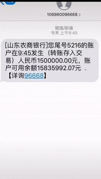 银行卡短信查余额图标