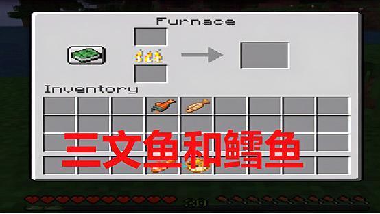 我的世界鱼吃什么食物有哪些