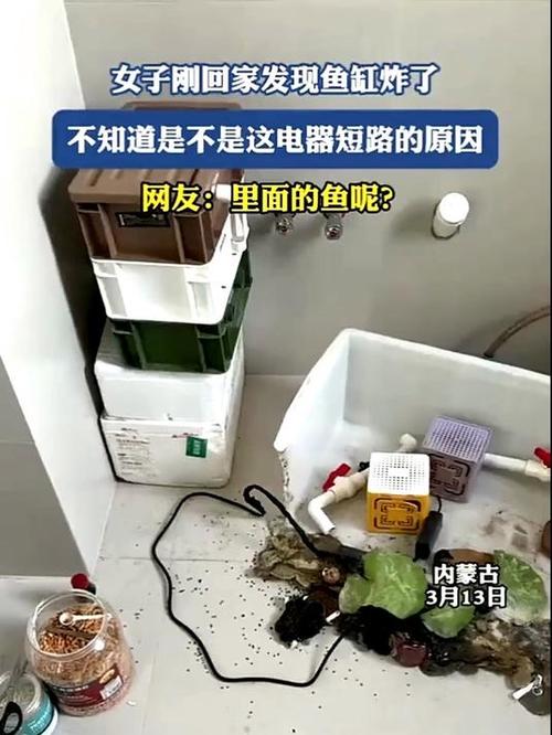 鱼缸突然炸裂预示着什么缩略图