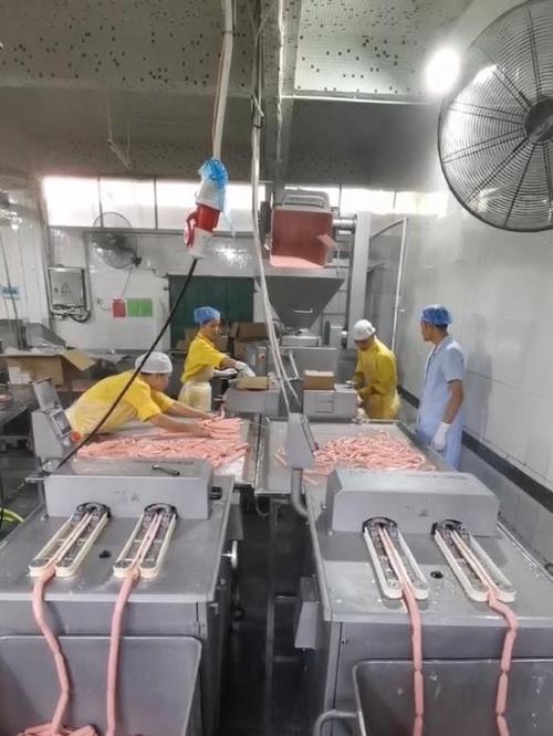 香肠生产线视频图标