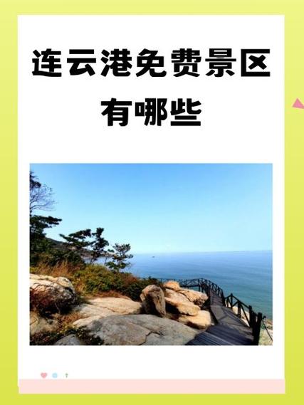 我的连云港登录不了