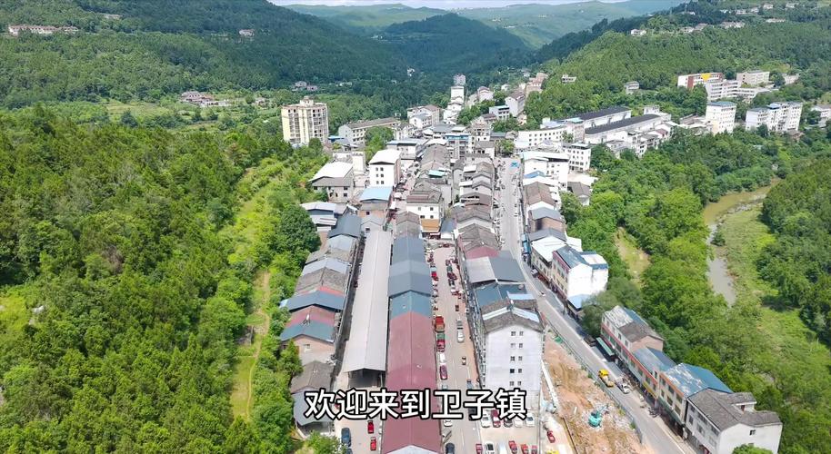 无冬镇拍卖怎么成功