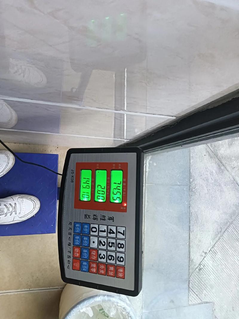 体重秤显示屏不亮了