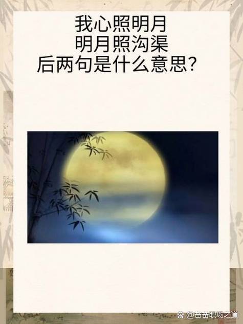 我心向明月全文免费阅读后妈