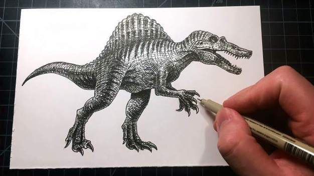 画棘龙和霸王龙