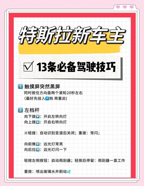 什么车可以跑专车