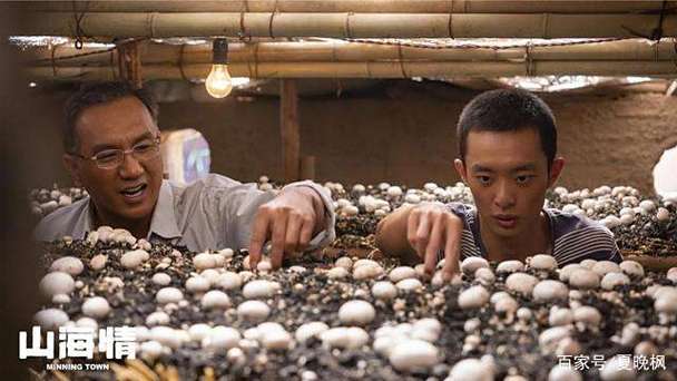 我的世界村民收的菜去哪了截图