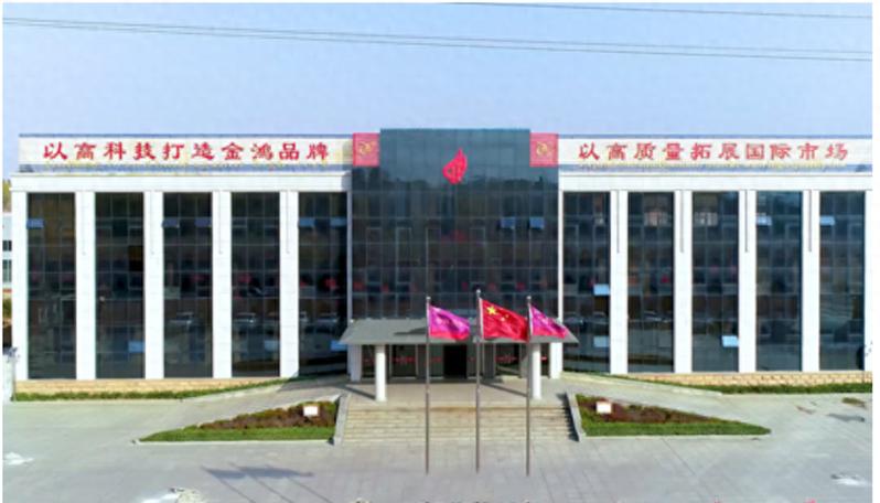 金鸿控股股票缩略图