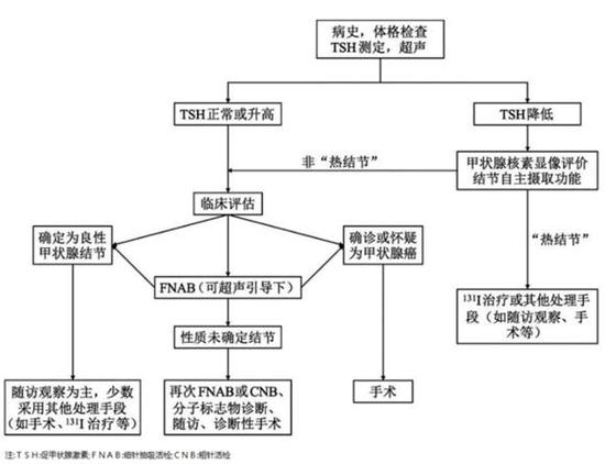甲状腺怎么治好得快缩略图