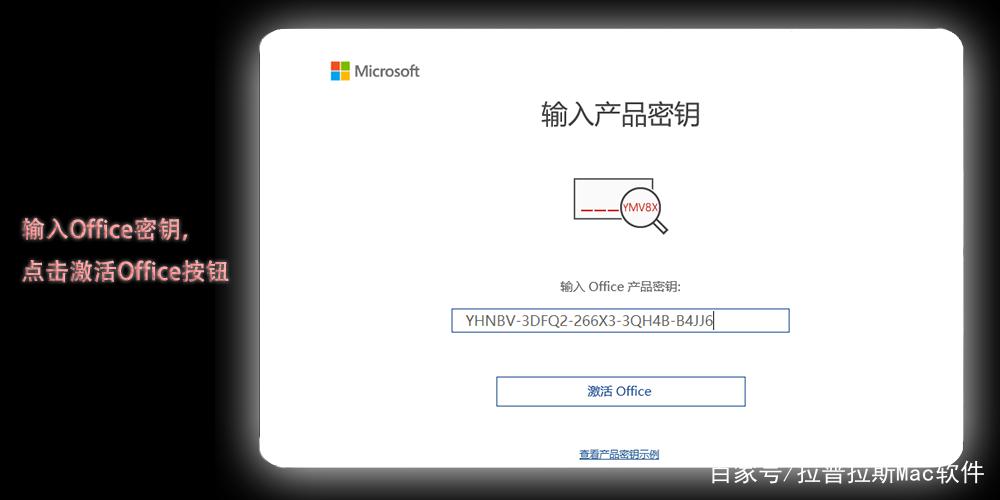 office2019数字激活