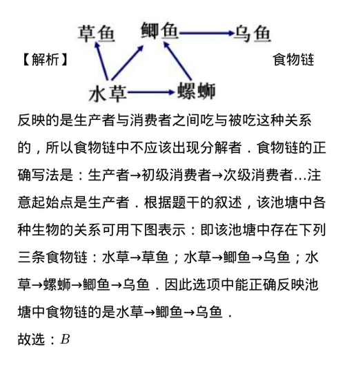 食物链网盘百度图标