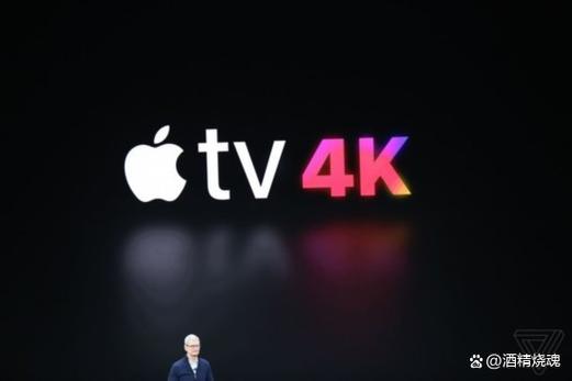 apple TV的验证码在哪里输入
