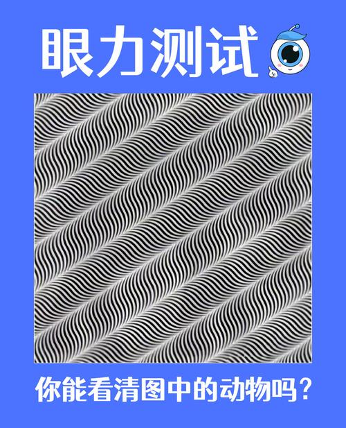 马识别外物世界主要靠的是什么
