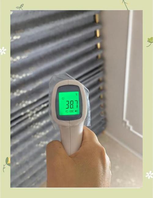 额温枪38.1度算发烧吗游戏截图