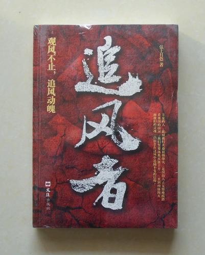 追风小说
