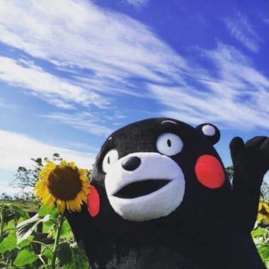熊本熊壁纸图片大全