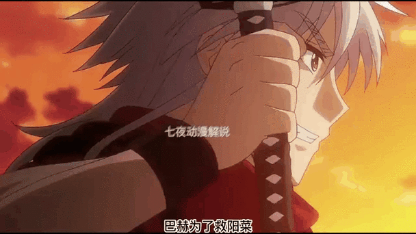 星掠者动画全集免费