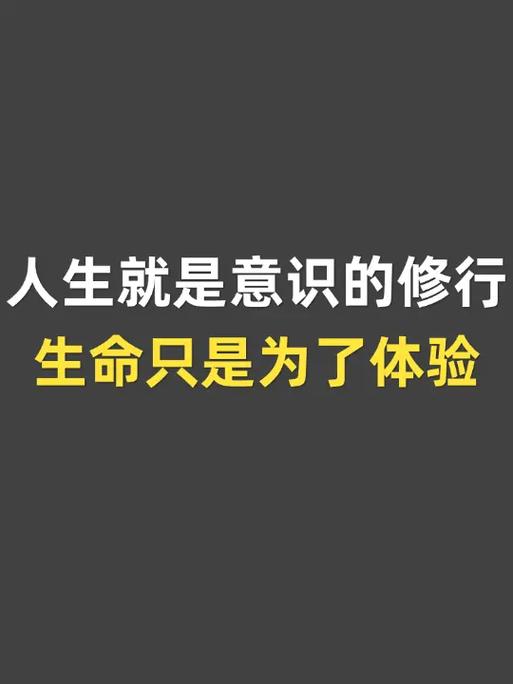 所有的经历