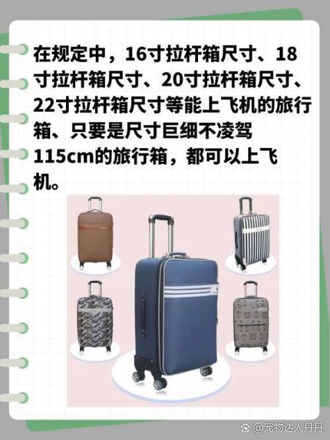 飞机上带行李箱的尺寸要求缩略图