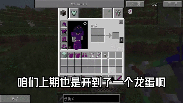 我的世界龙套装截图