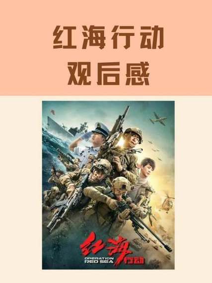 红海行动为什么不用国产武器截图