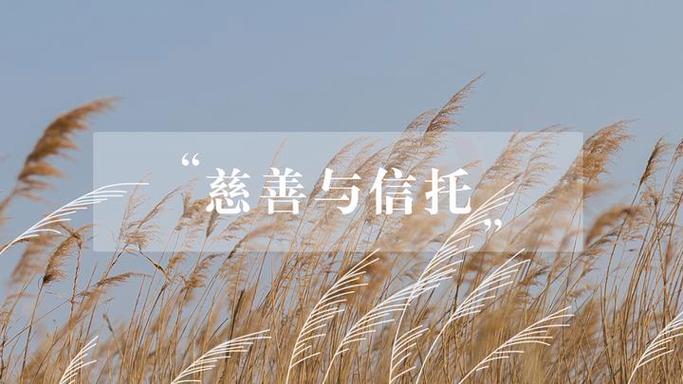 公益内核和付费内核截图