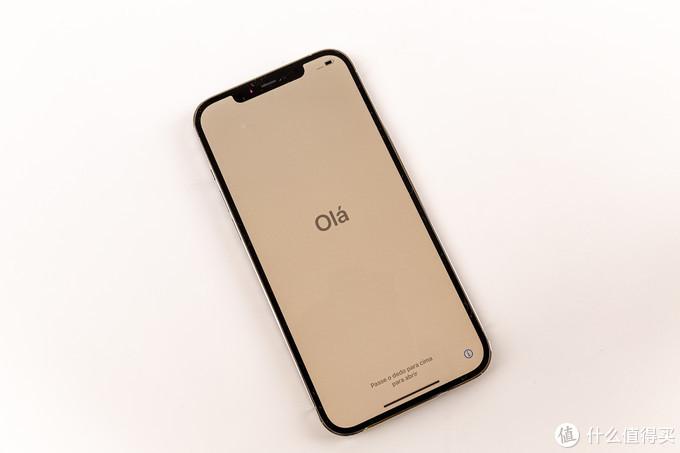 iphonex开机是黑苹果吗