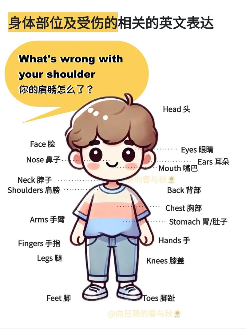 mybody中文名叫什么图标
