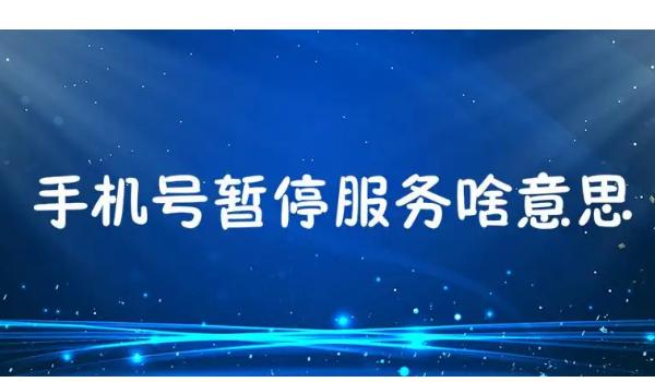停机保号被注销的后果