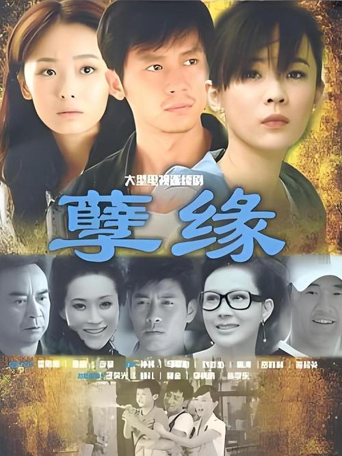 炮神大结局剧情介绍