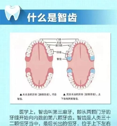 智齿的危害截图